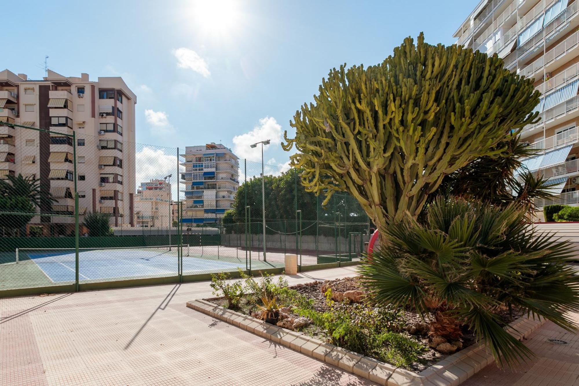 Torre Mar Muchavista Apartment *